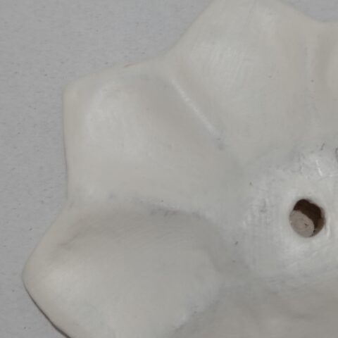 Flor de Parede Cerâmica Jequitinhonha P – Branca