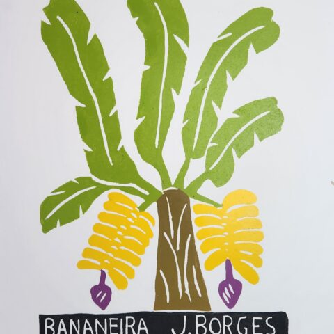 Xilogravura J. Borges: Bananeira (P)