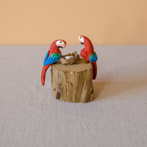 Casal de Pássaros no tronco – Arara Vermelha
