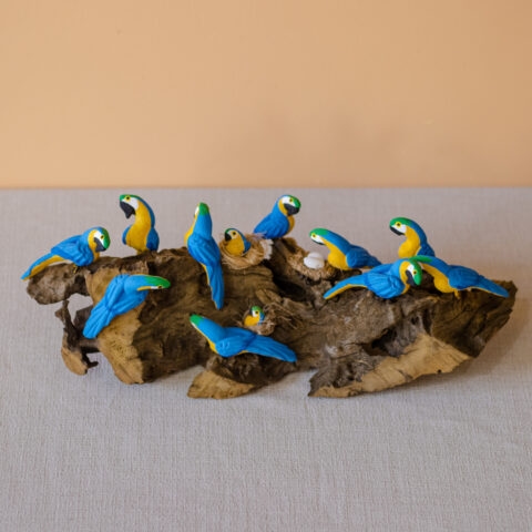 Pássaros no tronco M – Arara Amarela