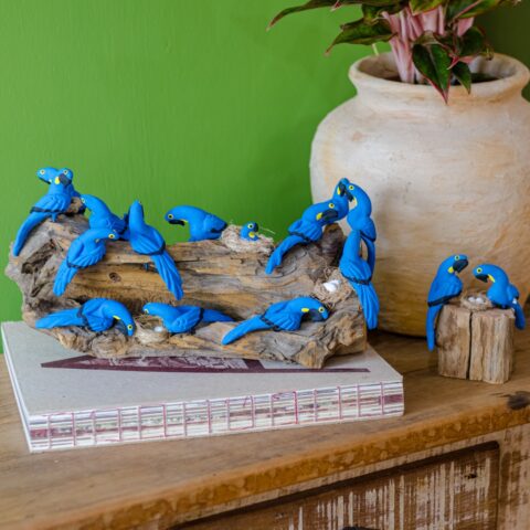 Casal de Pássaros no tronco – Arara Azul