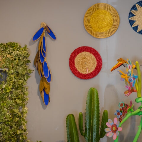 Colar de Parede Sementes Ipê Azul