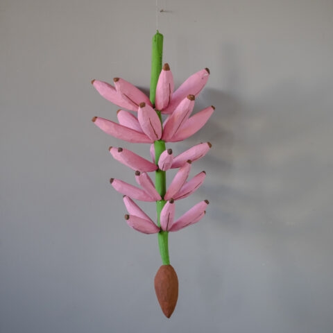 Cacho de Banana Caiçara: Rosa (P)