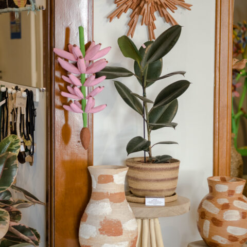 Cacho de Banana Caiçara: Rosa (P)