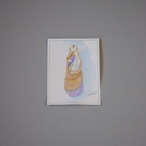 Aquarela São José
