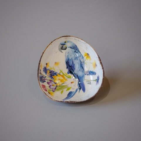Cuias Tita – Arara Azul 2