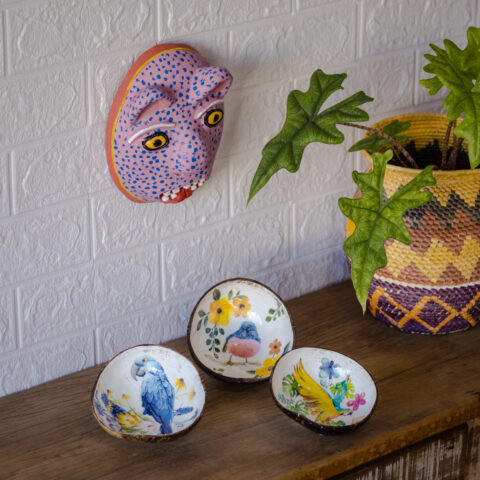 Cuias Tita – Arara Azul 2