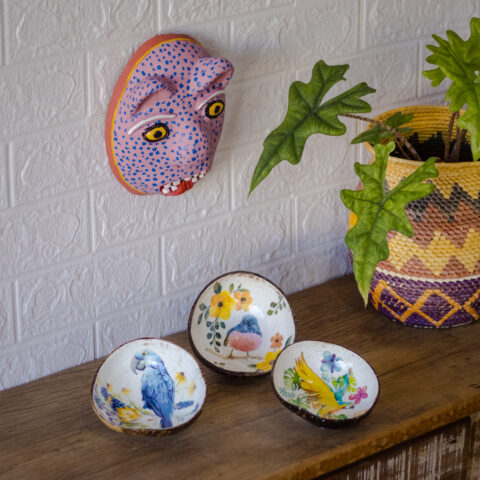 Cuias Tita – Arara Canindé