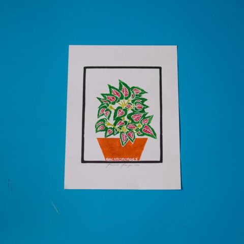Xilogravura Bacaro Borges: Pé de Coração (P)