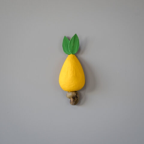 Caju de Parede Amarelo