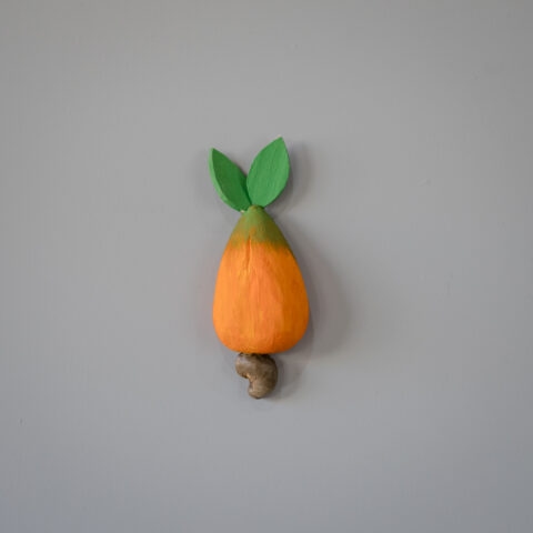 Caju de Parede Laranja