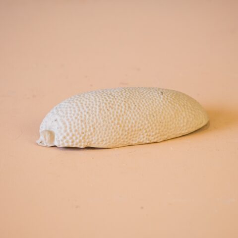 Jaca em Cerâmica Rosalva