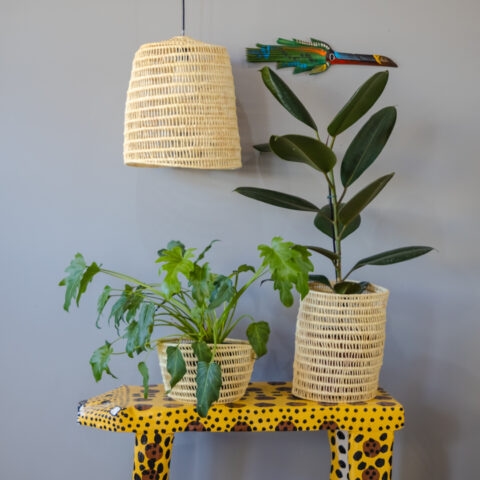 Luminária de Tucumã G