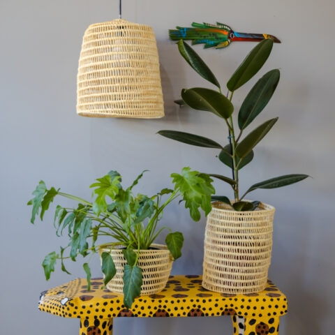 Luminária de Tucumã P