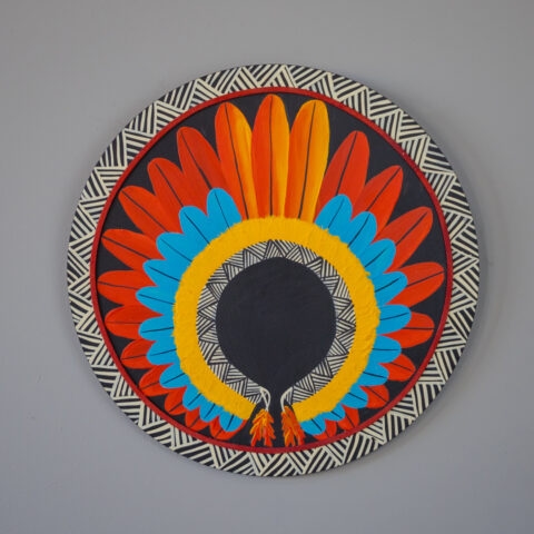 Mandala Pintura Cocar P – M2