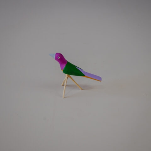 Passarinho Ilha do Ferro – P11