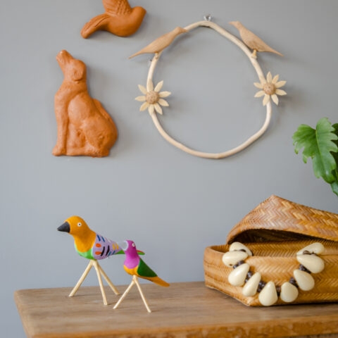 Passarinho Ilha do Ferro – P11