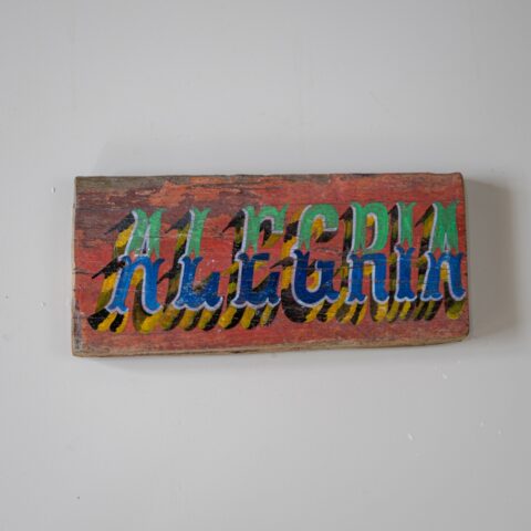 Placa de Madeira Alegria (P3)