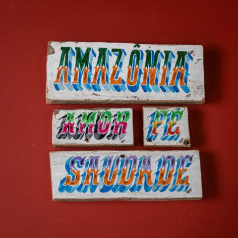Placa de Madeira Amazônia (P3)