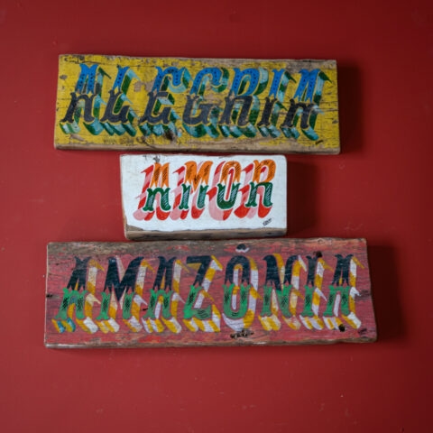 Placa Amazônica: Amazônia (P2)