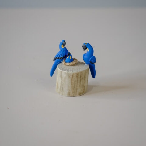 Casal de Pássaros no tronco – Arara Azul