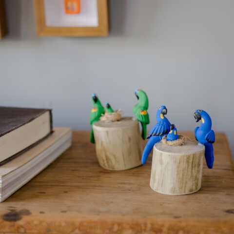 Casal de Pássaros no tronco – Arara Azul