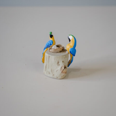 Casal de Pássaros no tronco – Arara Canindé