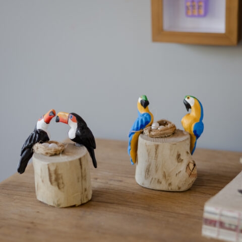 Casal de Pássaros no tronco – Arara Canindé