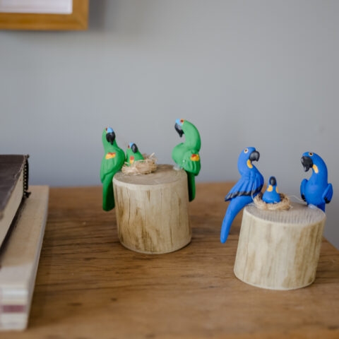 Casal de Pássaros no tronco – Arara Verde