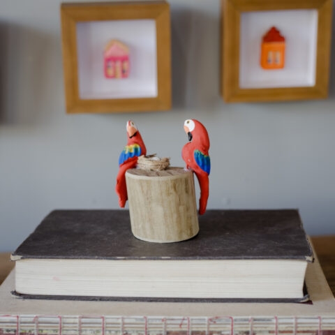 Casal de Pássaros no tronco – Arara Vermelha