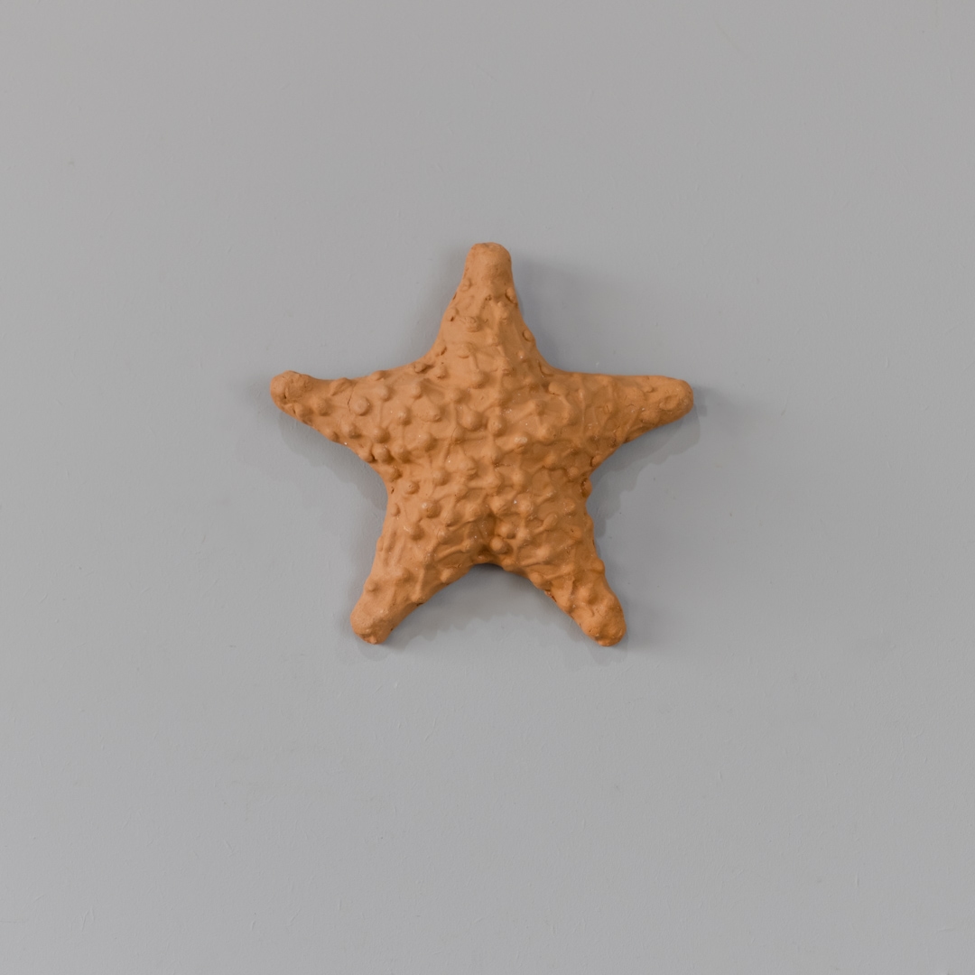 Estrela_do_Mar_de_CerC3A2mica_de_Parede_P-1.jpg