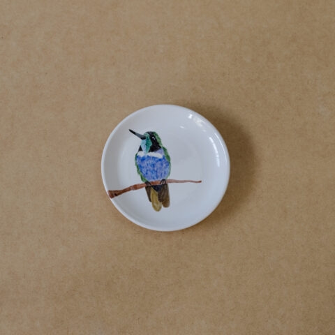 Prato de Cerâmica Beija-flor de Garganta Azul (P)