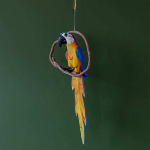 Arara Canindé no Poleiro em Madeira Caiçara (P)