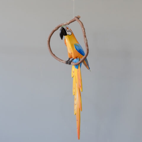 Arara Canindé no Poleiro em Madeira Caiçara (G)