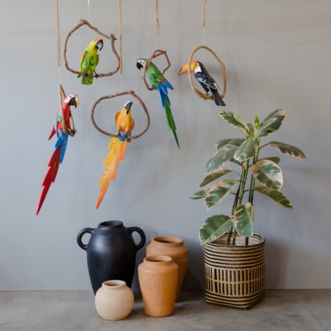 Arara Canindé no Poleiro em Madeira Caiçara (G)