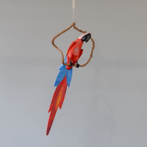 Arara Vermelha no Poleiro em Madeira Caiçara (G)