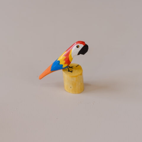 Arara no Toquinho em Madeira Caiçara (P)