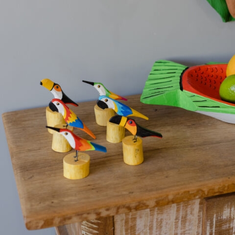 Arara no Toquinho em Madeira Caiçara (P)