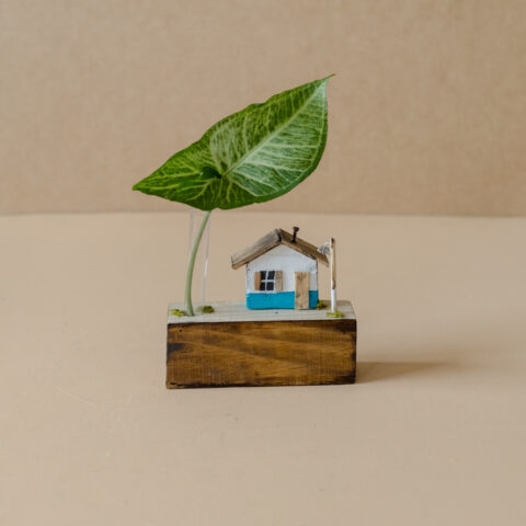 Casinha de Madeira para Plantas