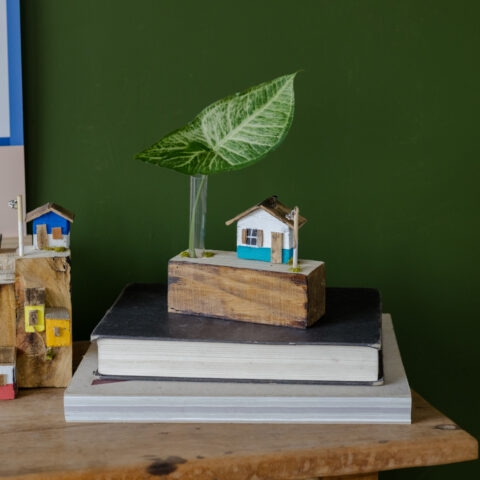 Casinha de Madeira para Plantas