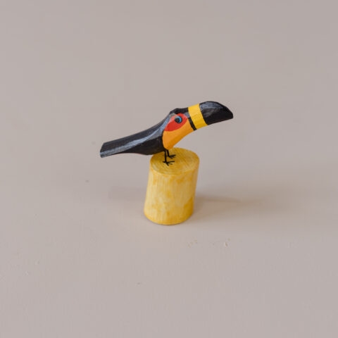 Tucano no Toquinho em Madeira Caiçara (P)