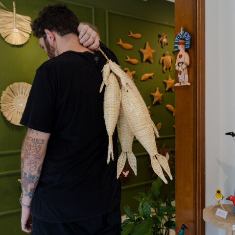 Fieira de Peixe de Palha