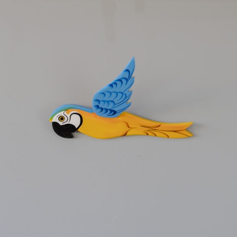 Arara Canindé de Parede em Madeira (M)