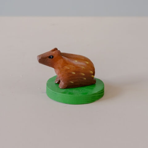 Capivara em Madeira