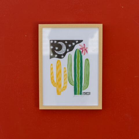 Quadro Xilogravura Bacaro Borges (P): Cacto em Flor